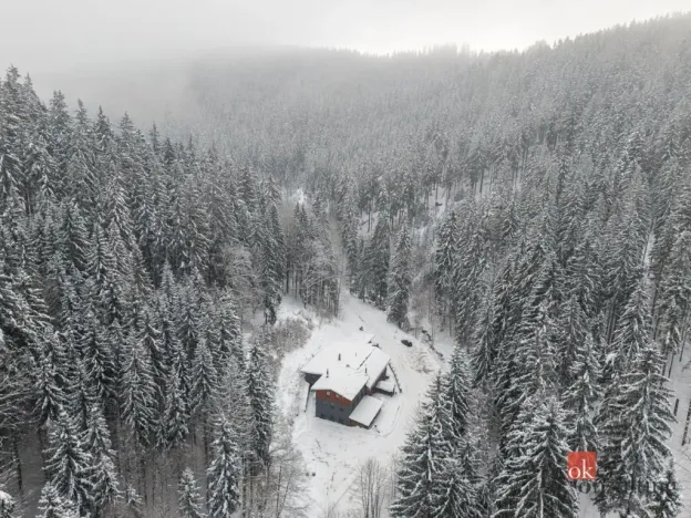 Prodej rodinného domu, Strážné, 650 m2