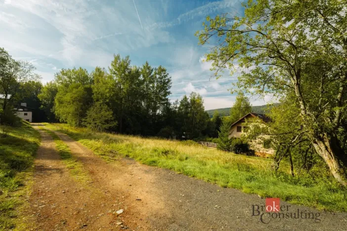 Prodej komerčního pozemku, Železná Ruda - Špičák, 4134 m2