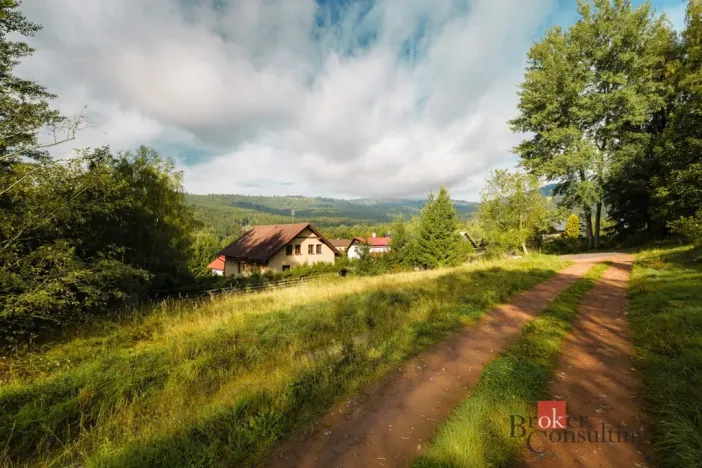 Prodej komerčního pozemku, Železná Ruda - Špičák, 4134 m2