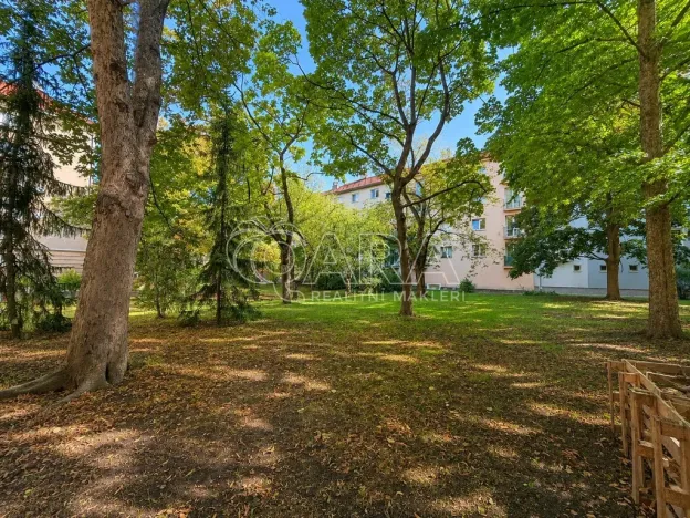 Pronájem bytu 2+1, Praha - Žižkov, Viklefova, 60 m2