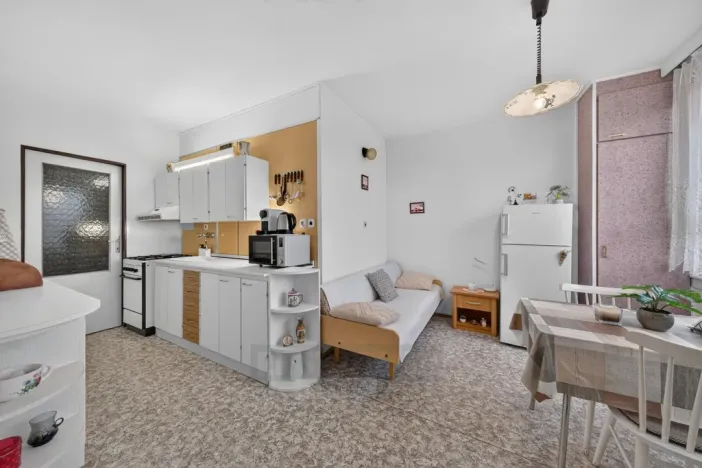 Prodej bytu 2+1, České Budějovice - České Budějovice 2, Větrná, 63 m2