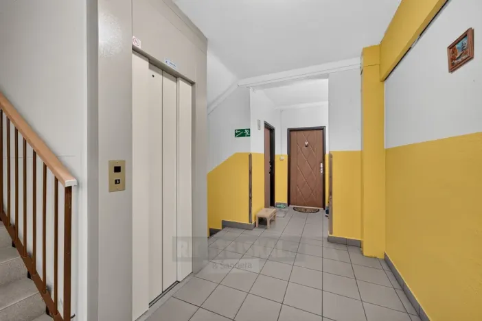 Prodej bytu 2+1, České Budějovice - České Budějovice 2, Větrná, 63 m2