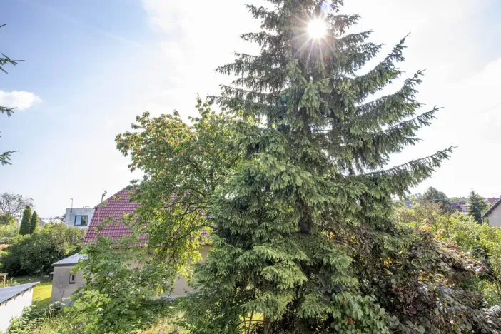 Pronájem bytu 3+kk, Kostelec nad Černými lesy, 54 m2