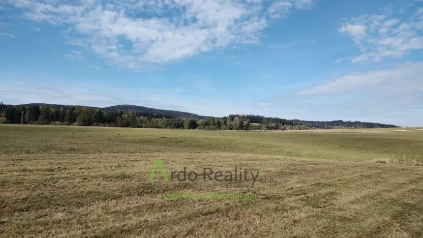 Prodej pozemku, Přední Výtoň, 13285 m2