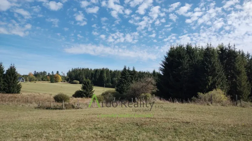 Prodej pozemku, Přední Výtoň, 13285 m2
