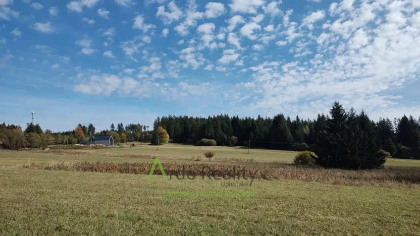 Prodej pozemku, Přední Výtoň, 13285 m2