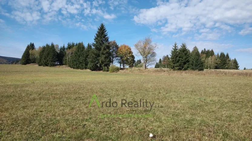 Prodej pozemku, Přední Výtoň, 13285 m2