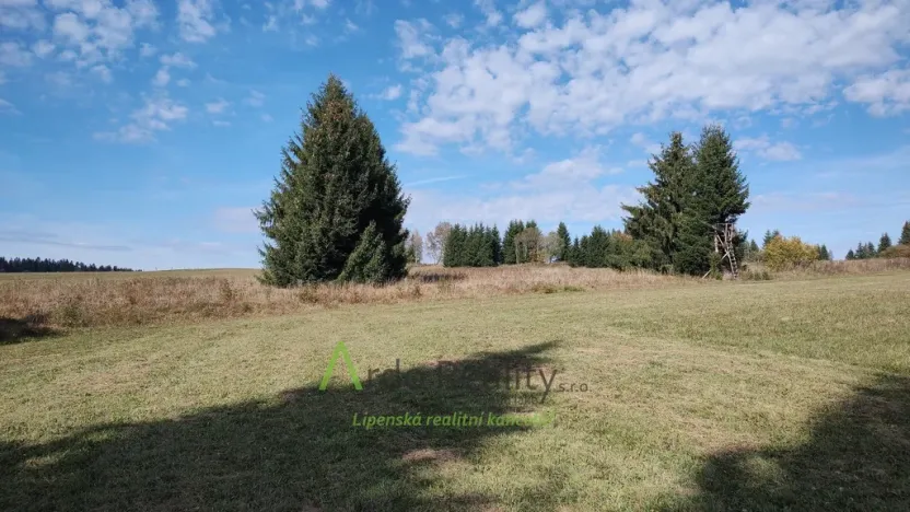 Prodej pozemku, Přední Výtoň, 13285 m2