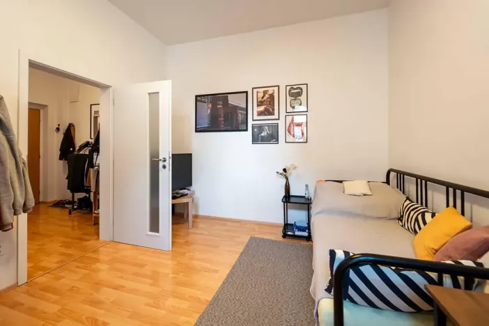 Pronájem bytu 1+1, Olomouc, Palackého, 35 m2