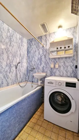 Pronájem bytu 4+kk, Litoměřice - Předměstí, Družstevní, 62 m2