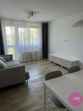 Pronájem bytu 2+1, Olomouc, U kovárny, 53 m2