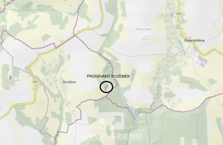 Prodej louky, Příkrý - Škodějov, 2448 m2