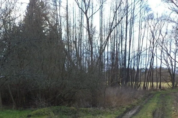 Prodej pozemku, Kočov, 5244 m2
