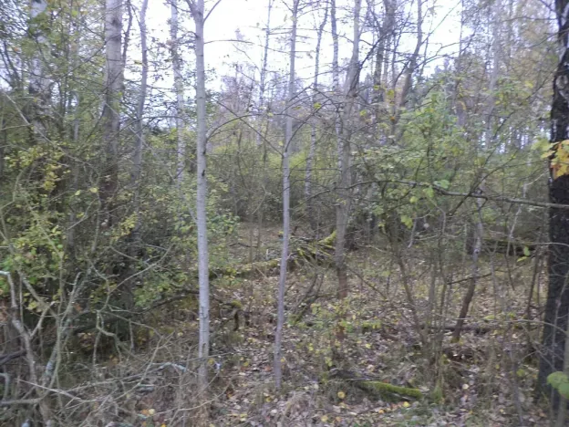 Prodej pozemku, Rozvadov, 2391 m2