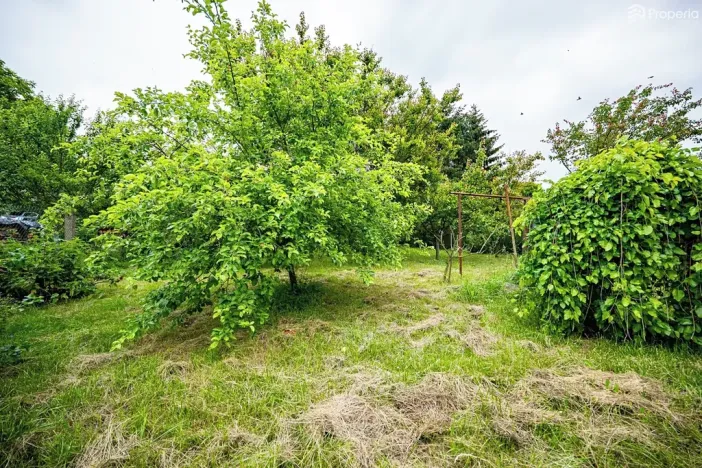 Prodej pozemku pro bydlení, Ráječko, Nová, 651 m2
