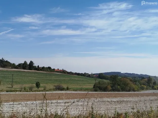 Prodej pozemku pro bydlení, Ježkovice, 56184 m2