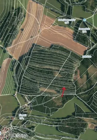 Prodej lesa, Strmilov, 2680 m2