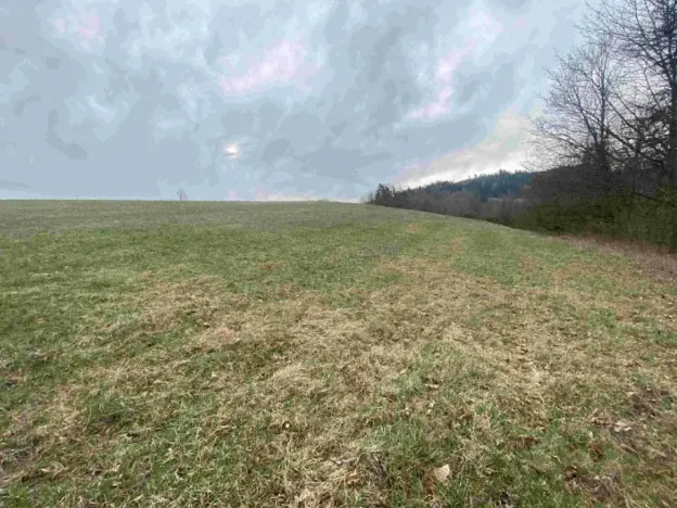 Dražba louky, Mírová pod Kozákovem, 14714 m2