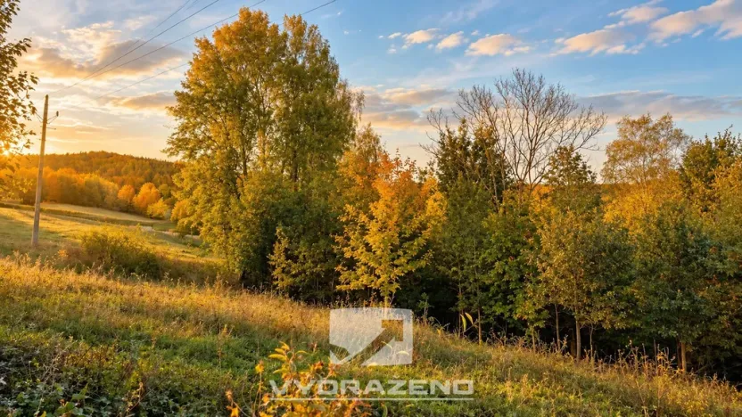 Prodej louky, Liberec, 1465 m2