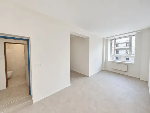 Pronájem bytu 1+kk, Brno, Cejl, 30 m2