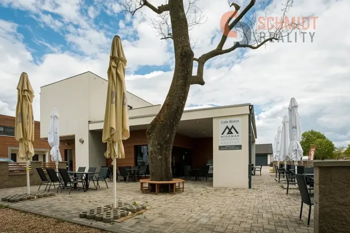 Prodej vícegeneračního domu, Podivín, 450 m2