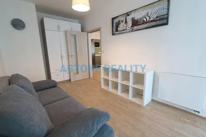 Pronájem bytu 4+kk, Praha - Žižkov, Olšanská, 110 m2
