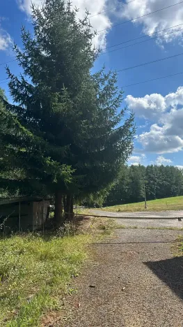 Prodej ubytování, Bílé Poličany, 1000 m2