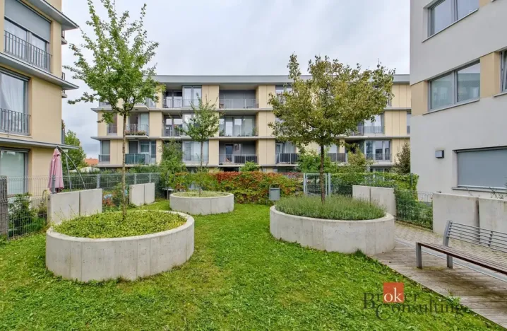 Pronájem bytu 2+kk, Praha - Žižkov, Olgy Havlové, 47 m2