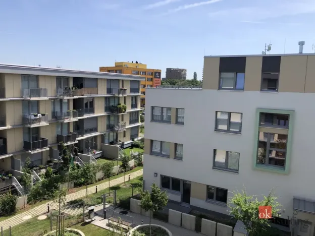 Pronájem bytu 2+kk, Praha - Žižkov, Olgy Havlové, 48 m2