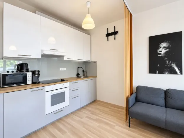 Pronájem bytu 1+kk, Praha - Kamýk, Zimova, 35 m2