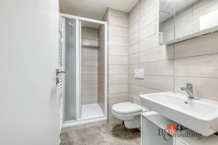 Pronájem bytu 1+kk, Plzeň - Jižní Předměstí, Boettingerova, 36 m2