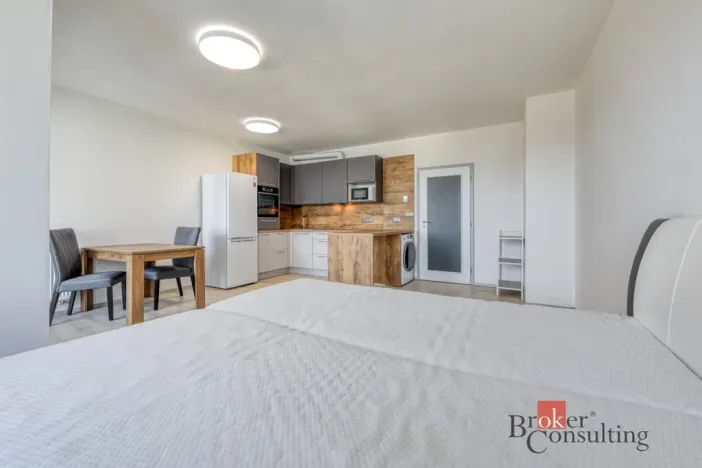 Pronájem bytu 1+kk, Plzeň - Jižní Předměstí, Boettingerova, 36 m2