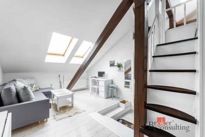 Pronájem bytu 1+kk, Praha - Nové Město, Vladislavova, 26 m2