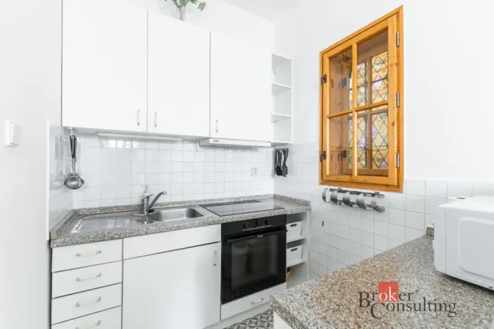 Pronájem bytu 1+kk, Praha - Nové Město, Vladislavova, 26 m2