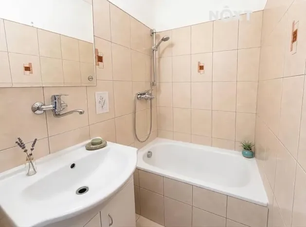 Pronájem bytu 2+kk, České Budějovice, Papírenská, 44 m2