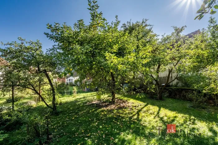 Prodej rodinného domu, Dívčice - Zbudov, 202 m2