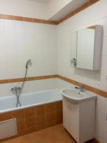 Pronájem bytu 1+kk, Liberec, Jeronýmova, 36 m2