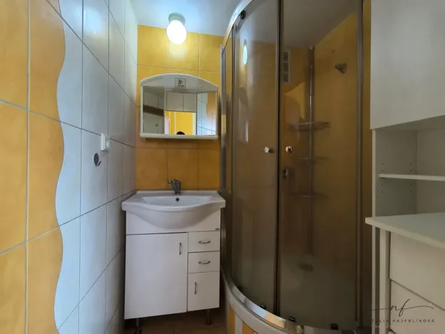 Pronájem bytu 2+1, Sokolov, Závodu míru, 55 m2