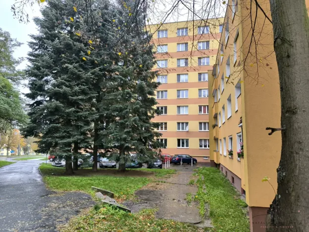 Pronájem bytu 2+1, Sokolov, Závodu míru, 55 m2