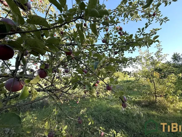 Prodej rodinného domu, Malhostovice, 144 m2