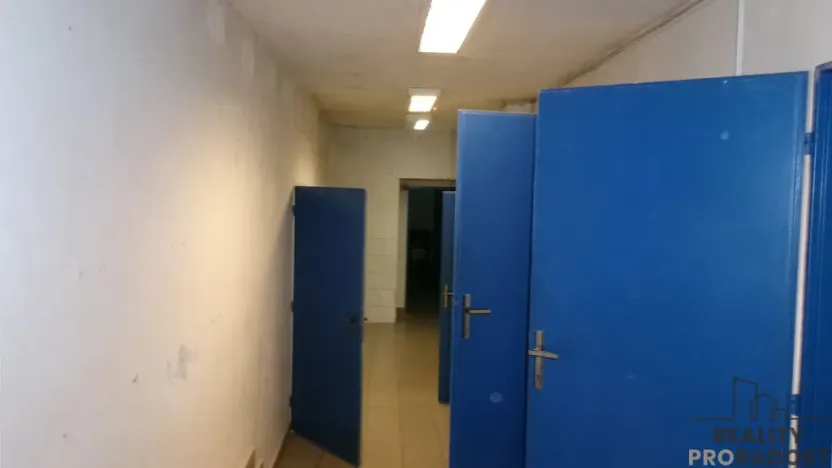 Prodej obchodního prostoru, Brno, Vodní, 400 m2