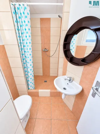 Pronájem bytu 1+kk, Třebíč, Riegrova, 38 m2
