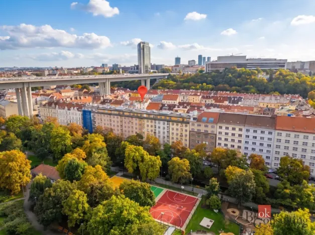 Prodej bytu 2+kk, Praha - Nusle, Oldřichova, 50 m2