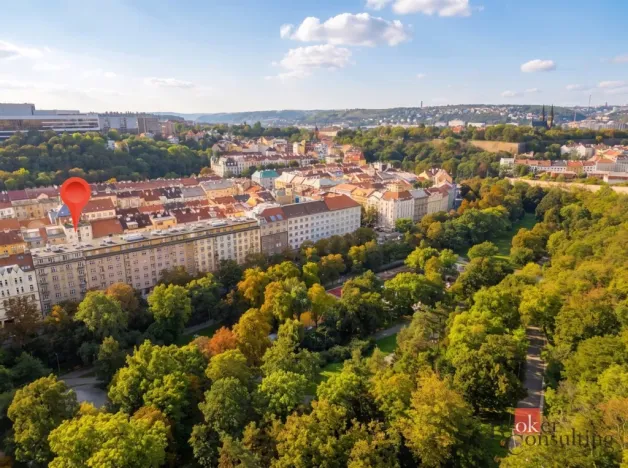 Prodej bytu 2+kk, Praha - Nusle, Oldřichova, 50 m2