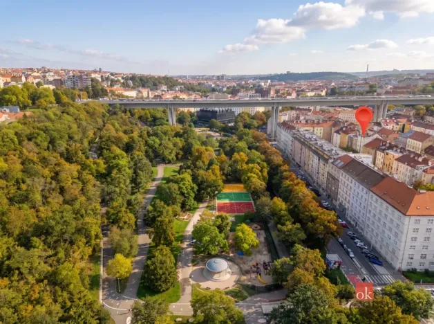 Prodej bytu 2+kk, Praha - Nusle, Oldřichova, 50 m2
