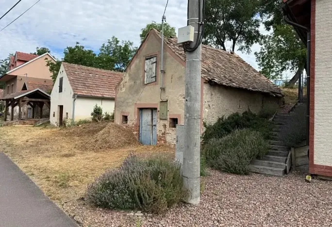 Prodej vinného sklepa, Novosedly, 136 m2