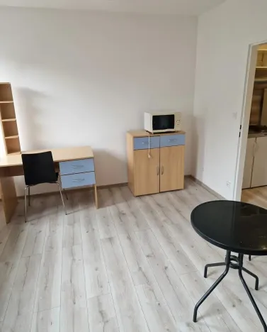Prodej bytu 1+kk, Brno - Zábrdovice, Cejl, 23 m2