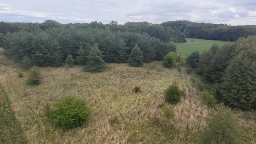 Prodej pozemku, Bechlín - Předonín, 15382 m2