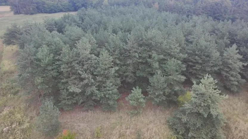 Prodej pozemku, Bechlín - Předonín, 15382 m2