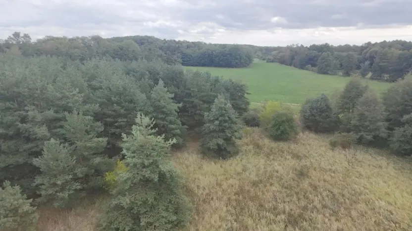 Prodej pozemku, Bechlín - Předonín, 15382 m2